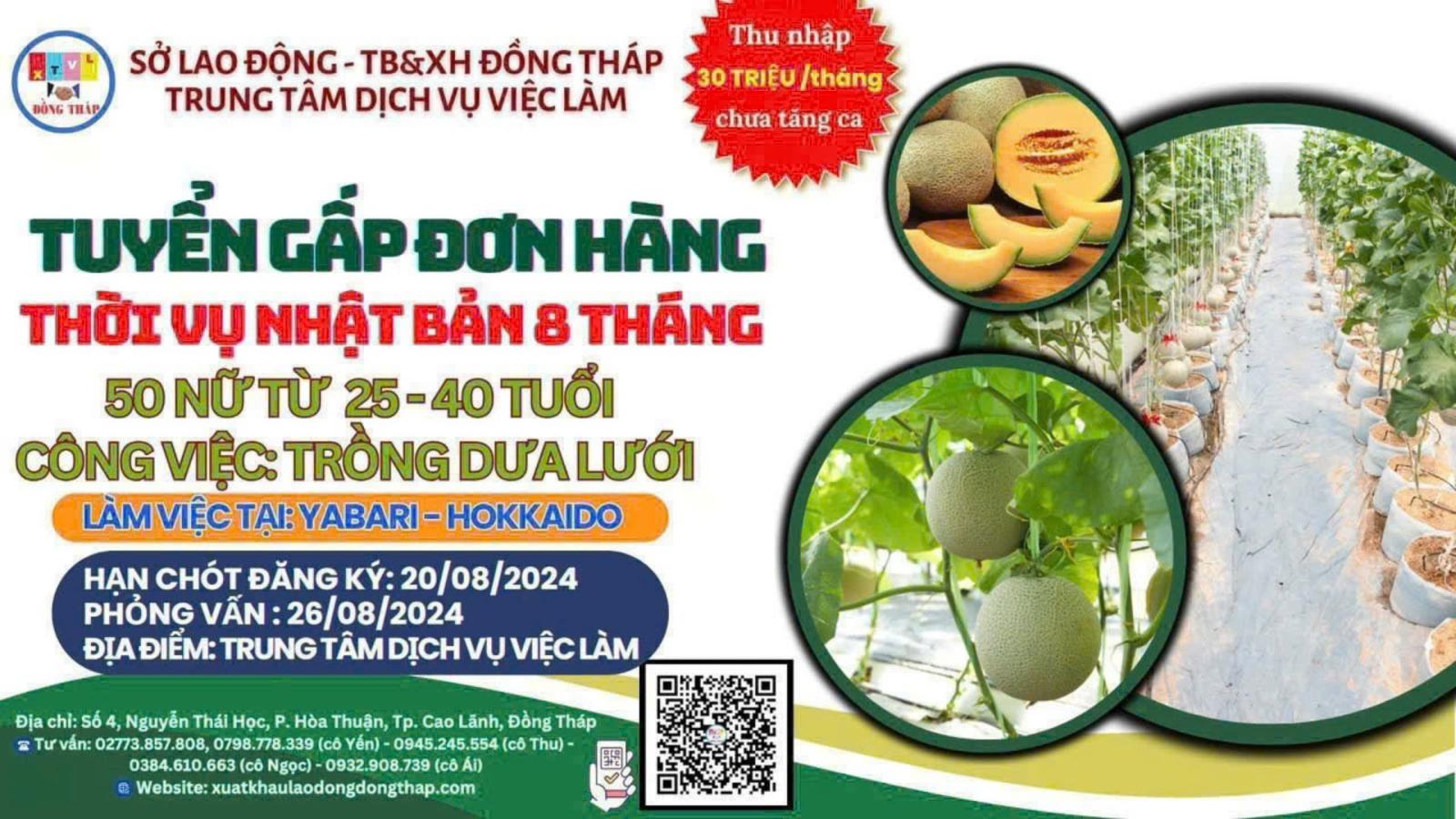 Tuyển lao động làm việc thời vụ tại Nhật Bản